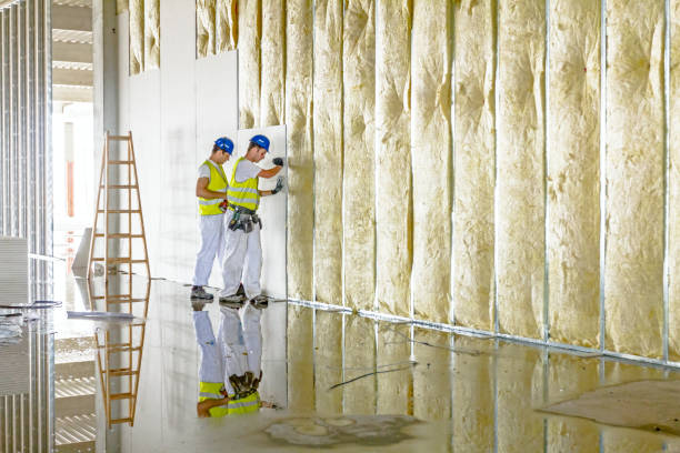 Insulation Air Sealing in Contra Costa Centre, CA